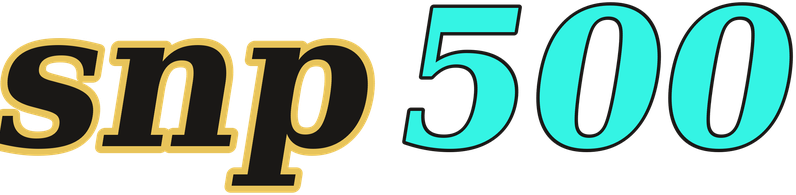 snp500 logo